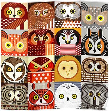 North American Owls Poster Owl art print Owl posters Owl canvas