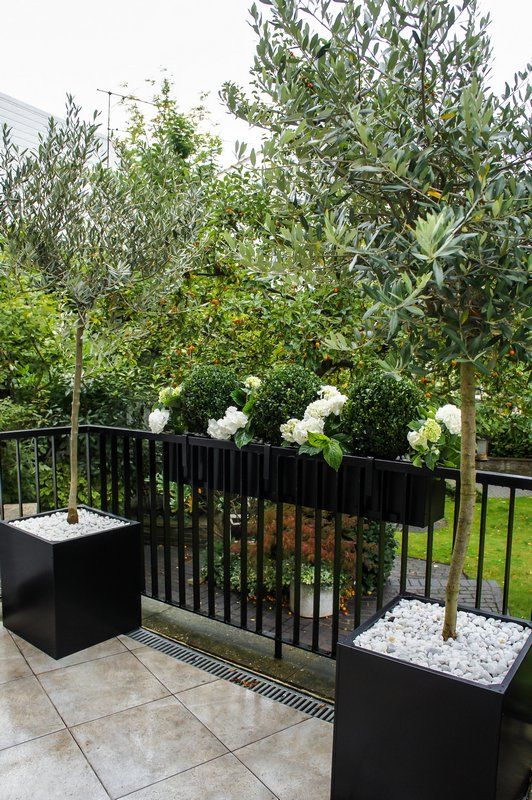Window boxes | Outdoor planters | Contemporary garden