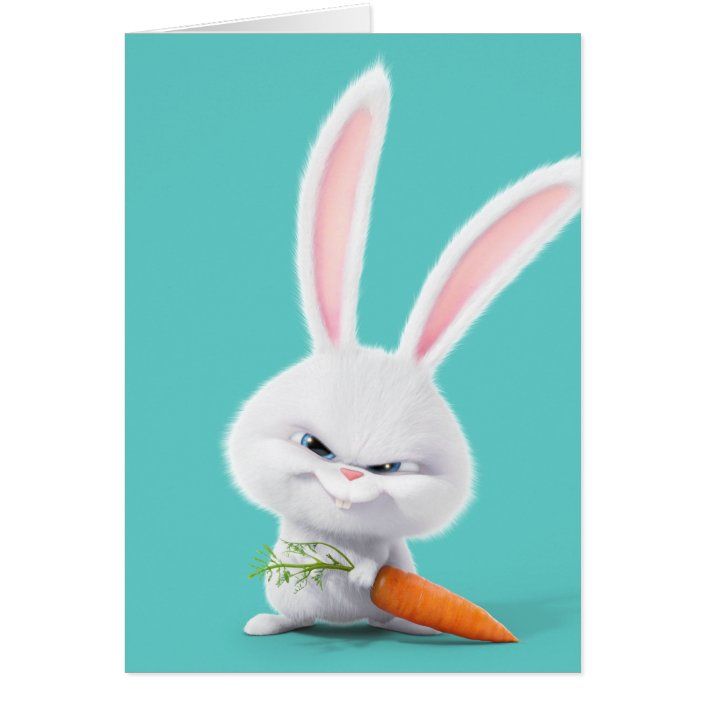 Secret Life Of Pets Insanely Cute Snowball Zazzle Com In 21 Cute Cartoon Wallpapers Cute Bunny Cartoon Rabbit Wallpaper Secret Life Of Pets Insanely Cute Snowball Zazzle Com In 21 Cute Cartoon Wallpapers Cute Bunny Cartoon Rabbit Wallpaper