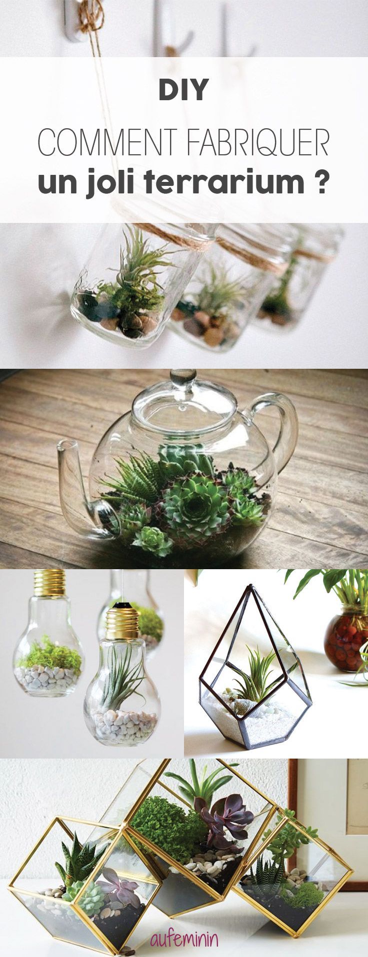 faire un terrarium terrarium comment faire un terrarium flower gardens faire un terrarium terrarium comment faire un terrarium flower gardens
