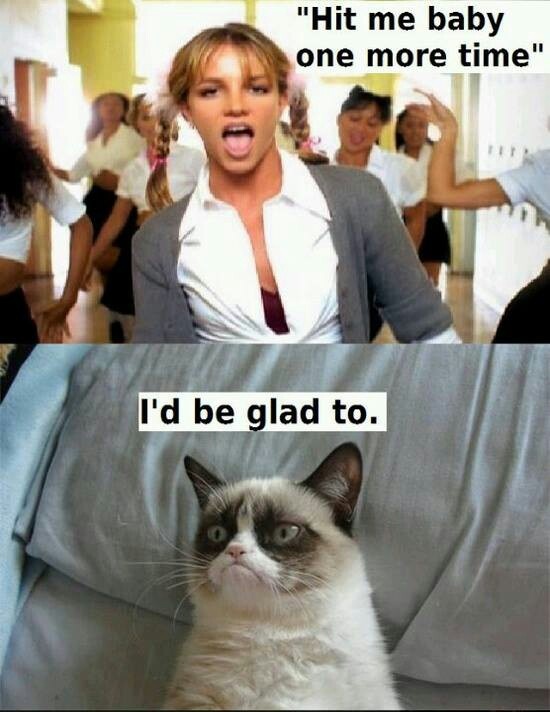 Hit Me Baby One More Time Funny Grumpy Cat Memes Grumpy Cat Quotes Grumpy Cat Humor