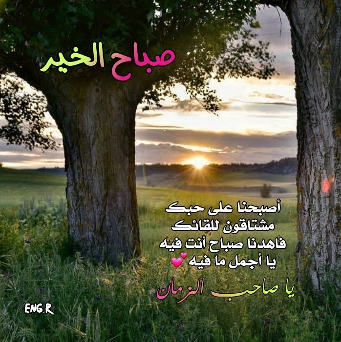 صباح الخير Tree Plants Islam