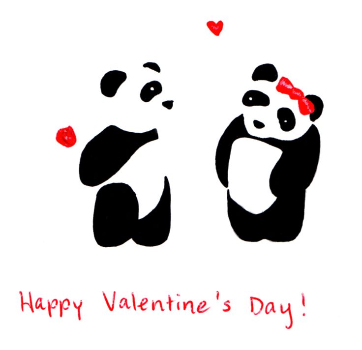 valentines day panda 69 best koala images on koalas koala bears valentines day panda 69 best koala images on koalas koala bears