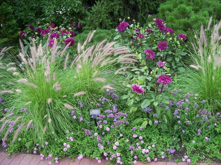 proven winners basic design principles using color in the garden in how to plant garden design home gardens and learn - Garden Design Using Grasses proven winners basic design principles using color in the garden in how to plant garden design home gardens and learn - Garden Design Using Grasses