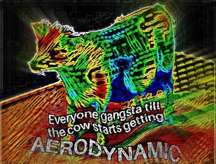 How Aerodynamic is a Cow