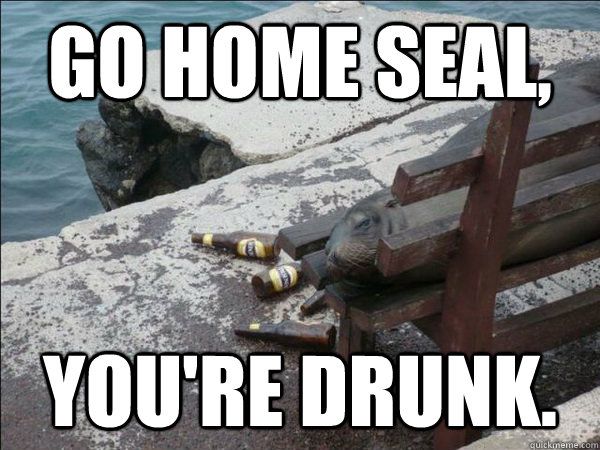 37 best i love memes go home, you're drunk! images on pinterest 01ae716b2c38b6d8ec321d68cd4c5e15 drunk memes funny animals 37 best i love memes go home, you're drunk! images on pinterest,Go Home Bessie You Re Drunk Meme