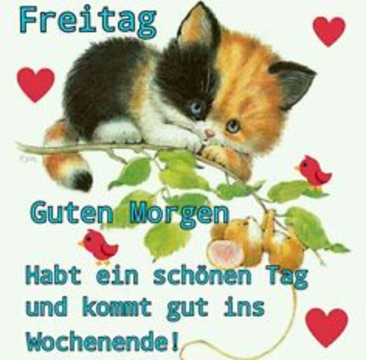 Schöne freitag bilder