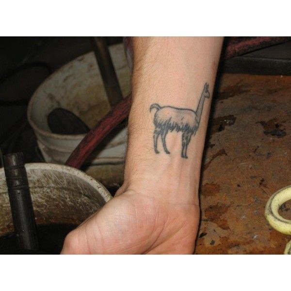 11 best llama tattoos images on pinterest tatting tattoo ideas 11 best llama tattoos images on pinterest tatting tattoo ideas