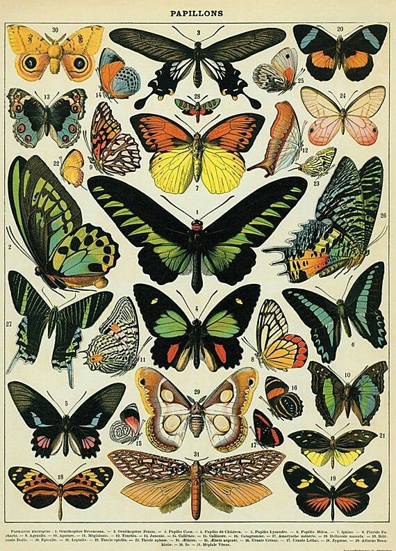 14 best tattoo images on pinterest painting crafts and drawings 14 best tattoo images on pinterest painting crafts and drawings