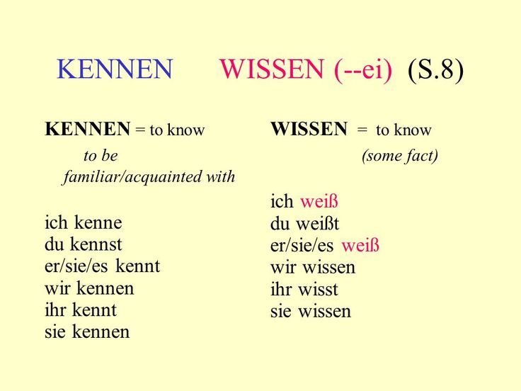 Transen kennen lernen