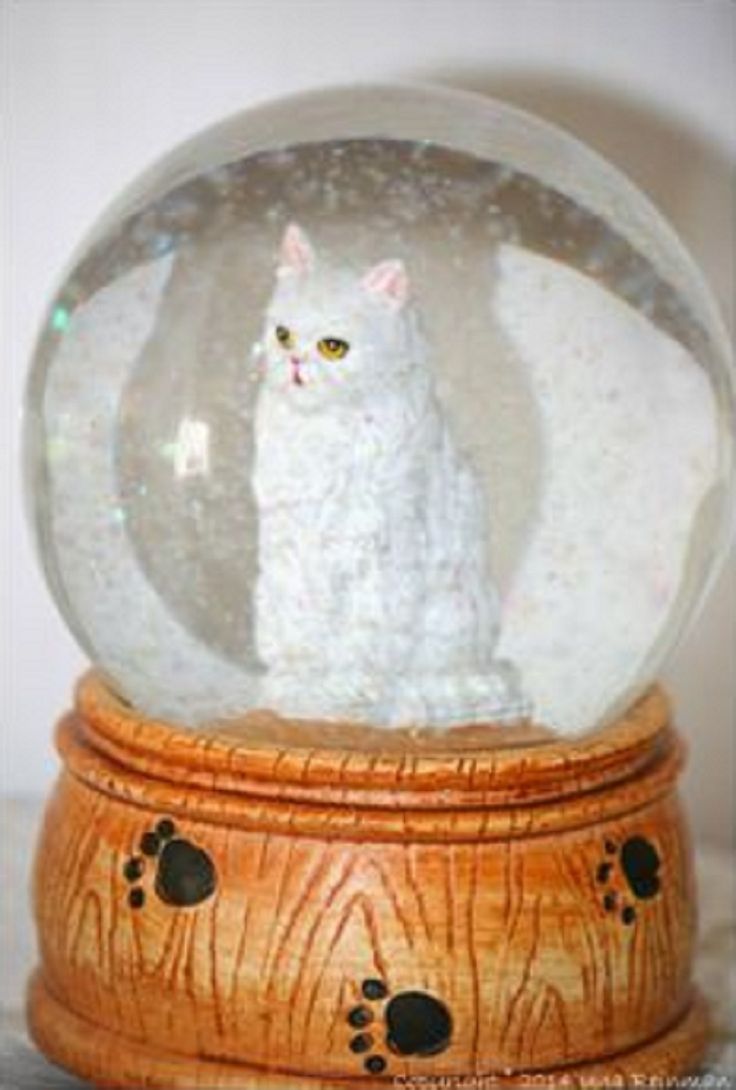 77 best cat globes images on pinterest snow globes tuxedo cat christmas ornaments