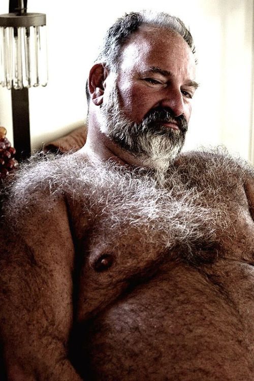 Daddy gay bears