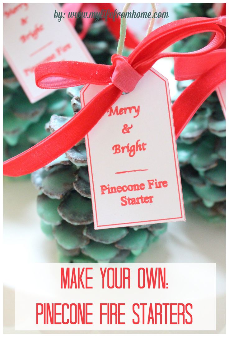 25 unique pinecone fire starters ideas on pinterest 25 unique pinecone fire starters ideas on pinterest