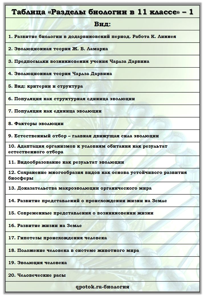Раздел 6
