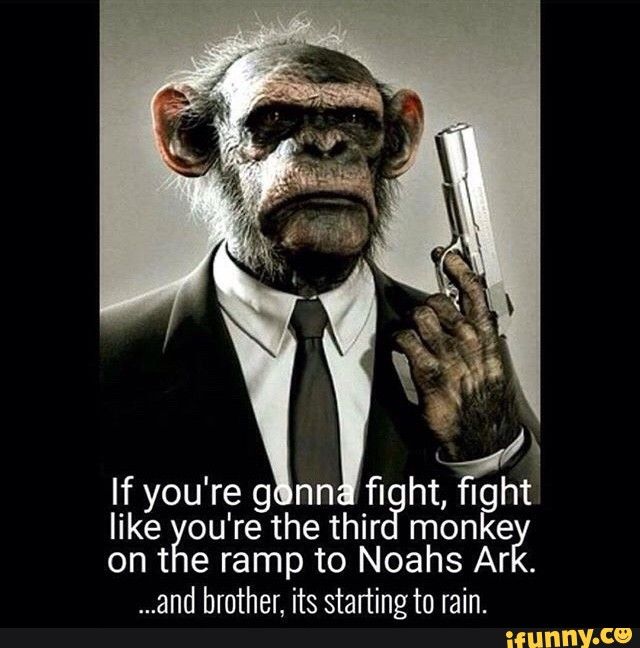 Military Motivational Quotes Impressive Best 25 Motivational Military Quotes Ideas On Pinterest Captain Military Motivational Quotes Magnificent Best 25 Motivational Military Quotes Ideas On Pinterest Captain