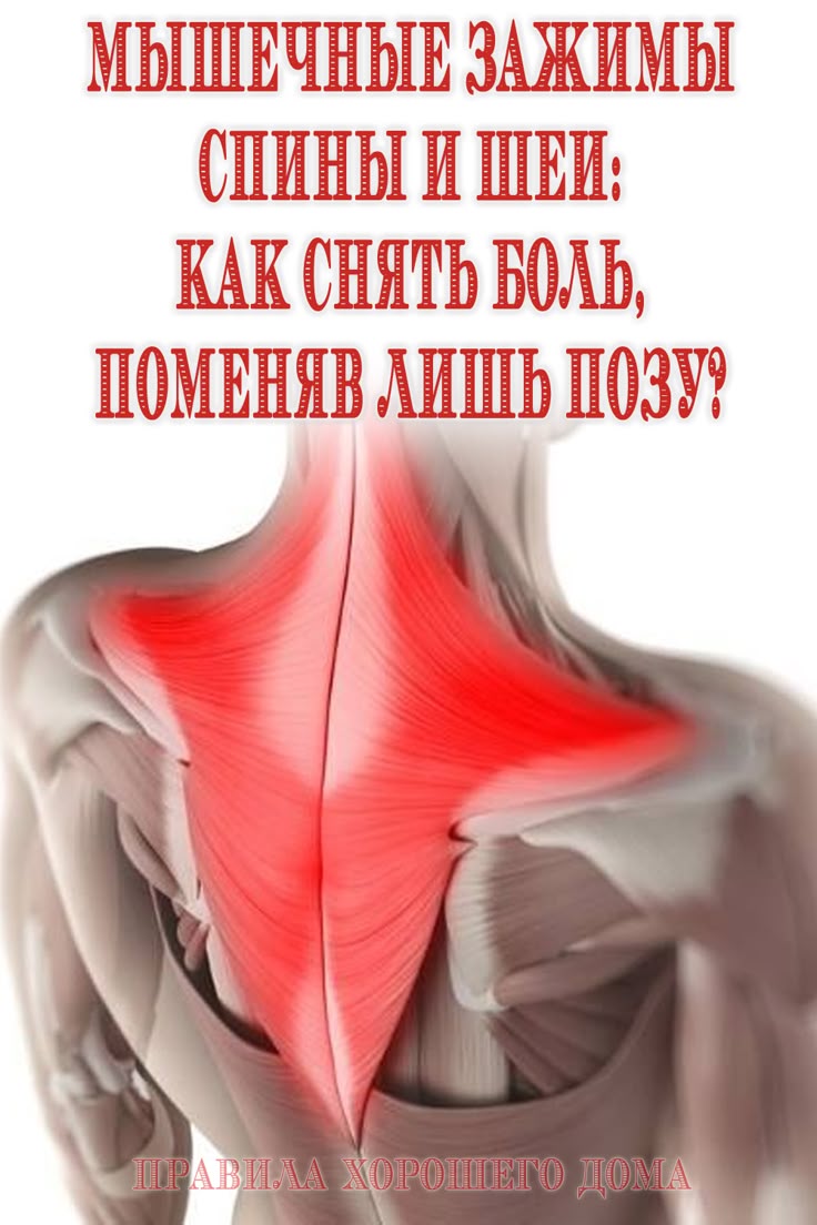 Мышечные зажимы спины и шеи: как снять боль, поменяв лишь позу? Мышечные зажимы спины и шеи: как снять боль, поменяв лишь позу?