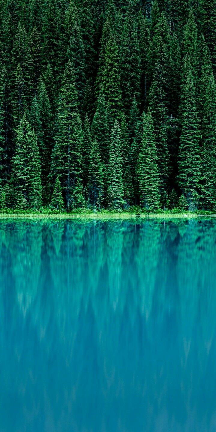 As much as this reflection value to the above real one, so this life on earth compare to Heaven's. As much as this reflection value to the above real one, so this life on earth compare to Heaven's. As much as this reflection value to the above real one, so this life on earth compare to Heaven's. As much as this reflection value to the above real one, so this life on earth compare to Heaven's.