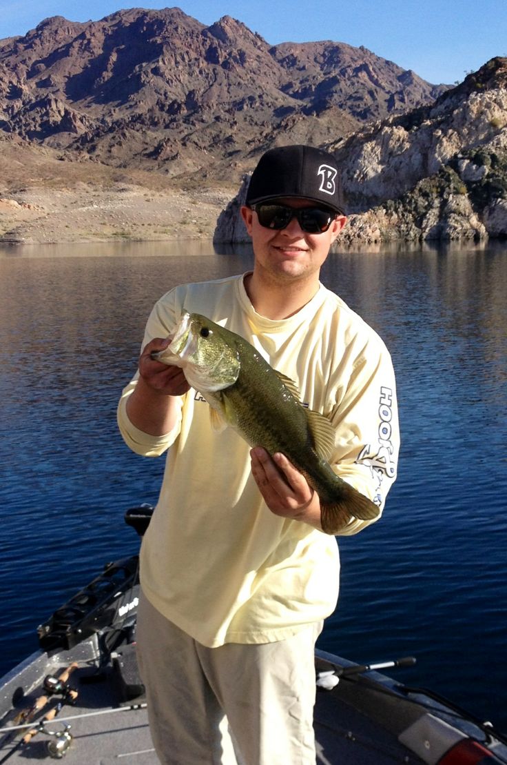 Lake mead fishin, prime time late summer | Fishin, Gone fishing, Lake mead