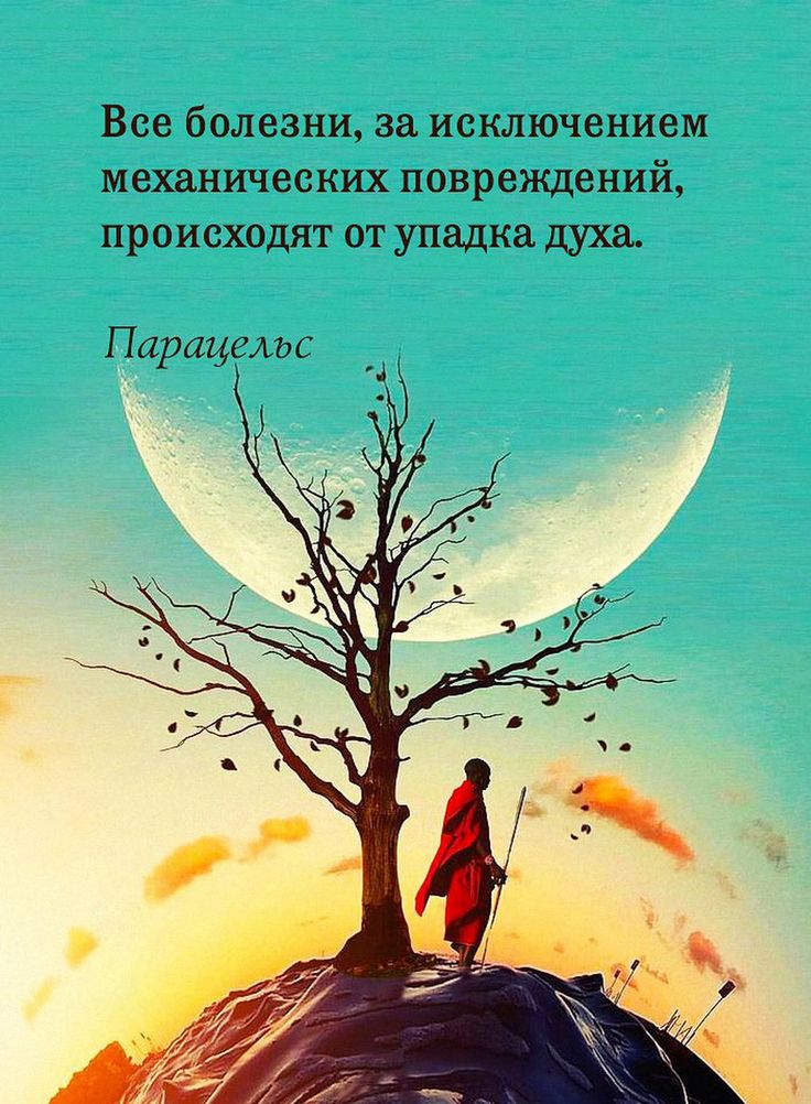 кроликам умные мысли про жизнь в картинках ибо жизнь