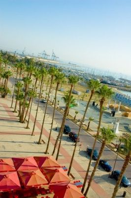 larnaka cyprus mediterranean network for