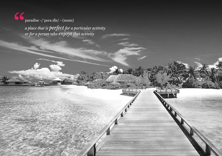 The Meaning Of Paradise the-meaning-of-paradise