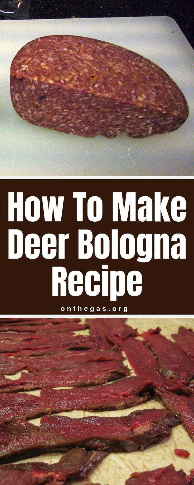 ᐅ HOW TO MAKE DEER BOLOGNA • The Perfect Recipe Deer ᐅ HOW TO MAKE DEER BOLOGNA • The Perfect Recipe Deer