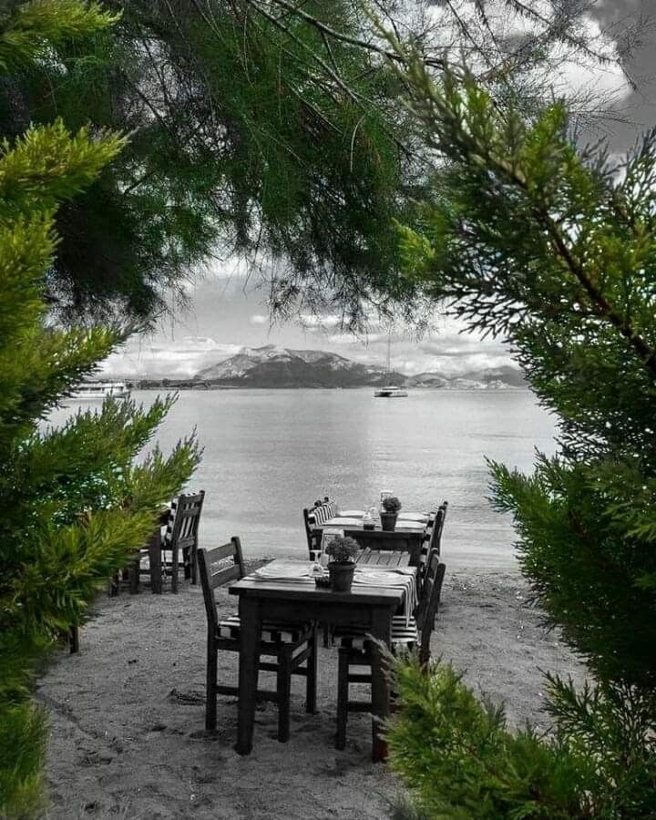 Green Color Splash Nature Photography Outdoor Furniture Sets Decor Nature Photography Outdoor Decor, Splash Outdoor Furniture
