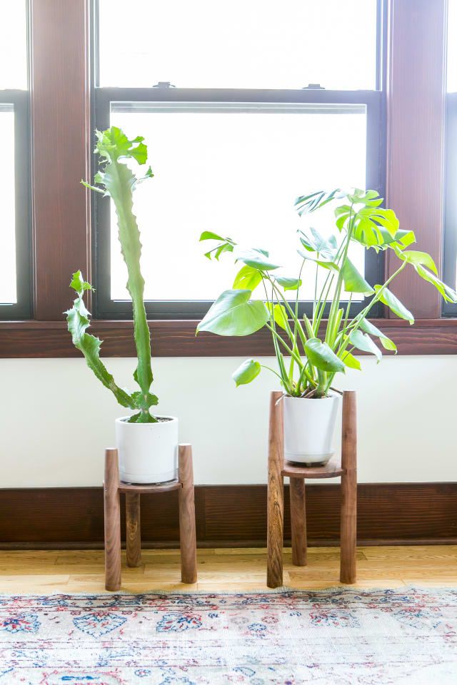 5 Bad Houseplant Habits You Should Break Right Now House Plants 5 Bad Houseplant Habits You Should