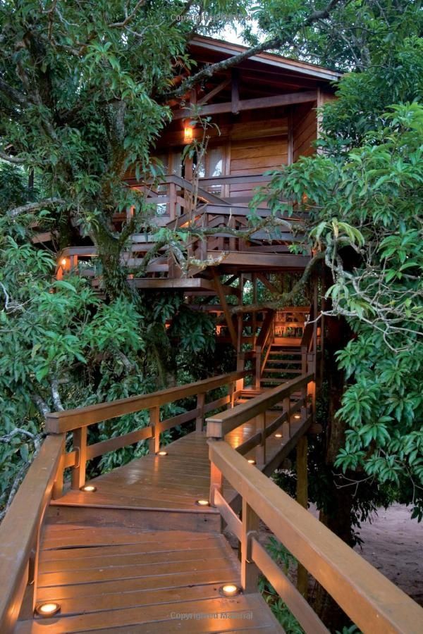Treehouse Masters Irish Cottage best 25+ tree house masters ideas on pinterest | rustic window Treehouse Masters Irish Cottage best 25+ tree house masters ideas on pinterest | rustic window