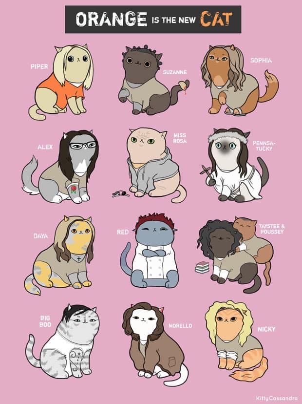 Orange Is The New Black Cats Orange Is The New Black Orange Is The New Oitnb