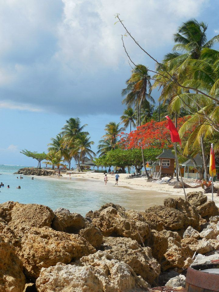 caribbean islands essay Caribbean cuisine is a rich stew of geographic, political and cultural influence the different colonial cultures all make a contribution to the cuisines, and local ingredients play a significant role. caribbean islands essay Caribbean cuisine is a rich stew of geographic, political and cultural influence the different colonial cultures all make a contribution to the cuisines, and local ingredients play a significant role.