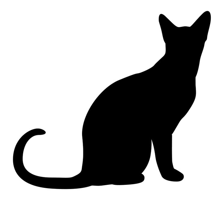 cat silhouettes free 15 cat silhouette vector free cliparts that you can download to - Black Cat Silhouette Halloween cat silhouettes free 15 cat silhouette vector free cliparts that you can download to - Black Cat Silhouette Halloween