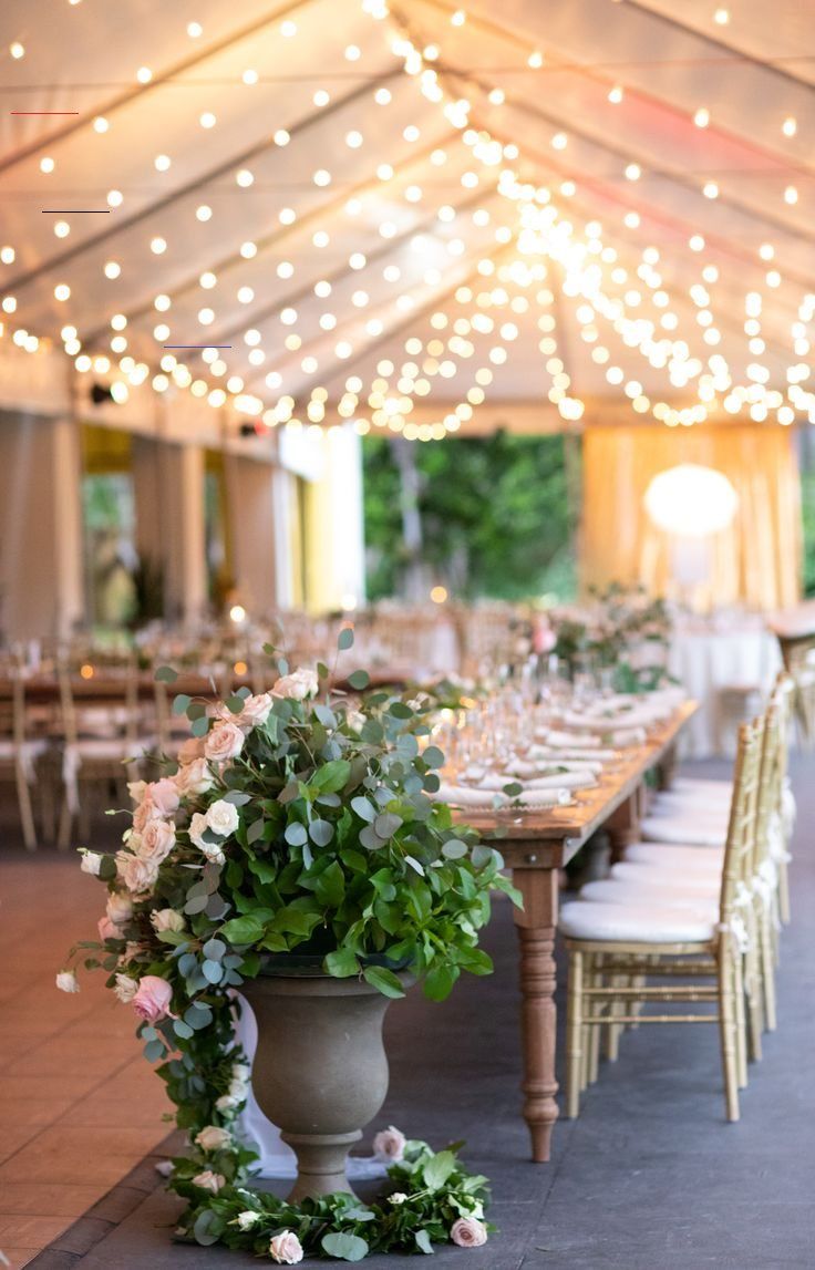 Romantic Bonnet House Wedding Carolina Guzik Photography In 2020 Bonnet House Fort Lauderdale Wedding Miami Wedding Photographer