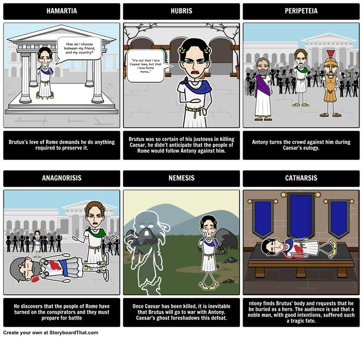 Julius caesar tragic hero essay