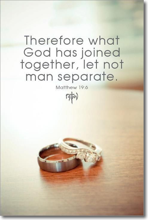 336 Best Images On Pinterest Verses Scriptures 15 Beautiful Examples Of Verse Typography Wedding Scripturewedding Versesscripture
