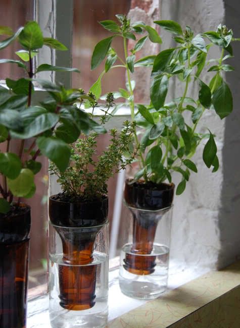 Diy Indoor Herb Garden 335 best herb garden ideas images on pinterest | gardening, herb Diy Indoor Herb Garden 335 best herb garden ideas images on pinterest | gardening, herb