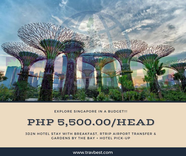 Garden By The Bay Breakfast 21 best asian packages 2017 images on pinterest | airports Garden By The Bay Breakfast 21 best asian packages 2017 images on pinterest | airports