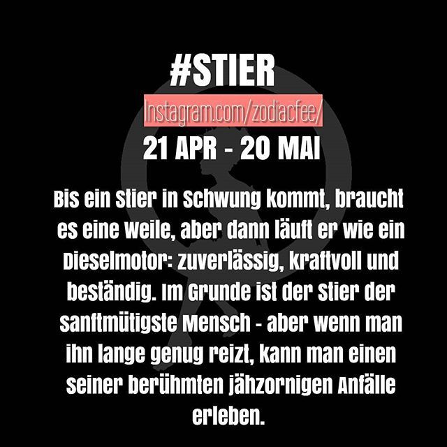 Stier mann single