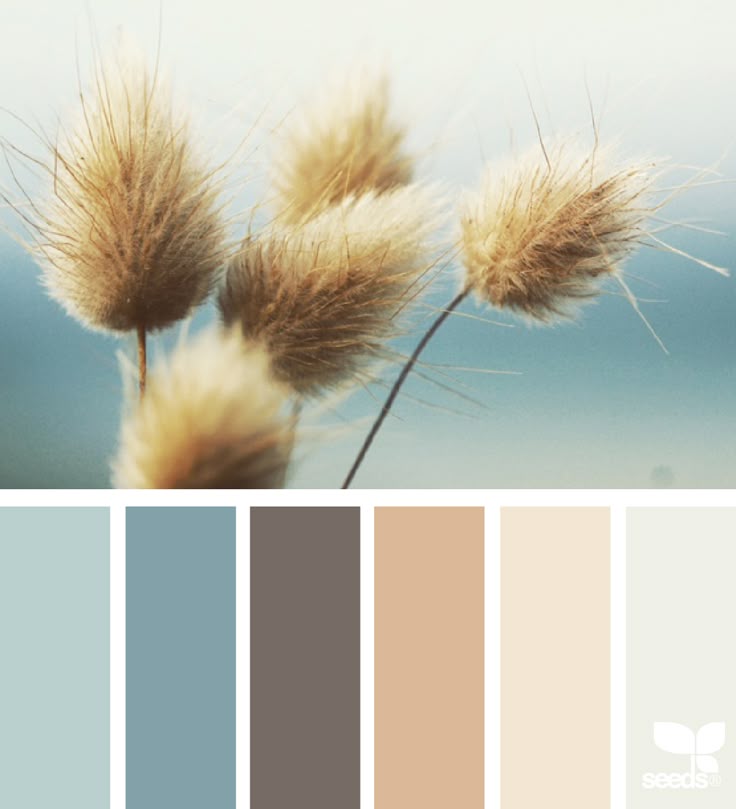 Natural Paint Colors best 10+ natural paint colors ideas on pinterest | interior paint Natural Paint Colors best 10+ natural paint colors ideas on pinterest | interior paint