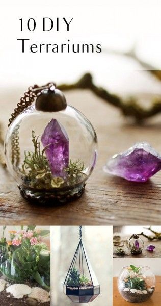 DIY Terrarium, Indoor Gardening, Gardening Hakcs, Easy Gardening, Gardening Hack...