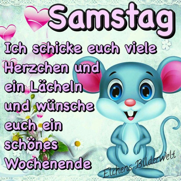 Wochenstart bilder lustig