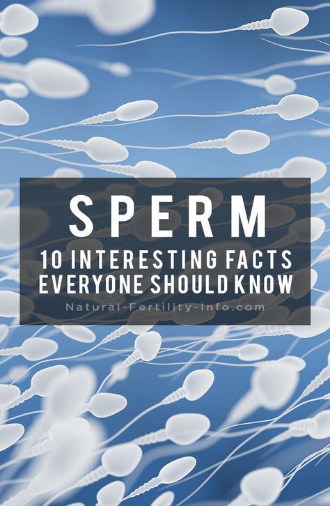 Pumping sperm laden fertile