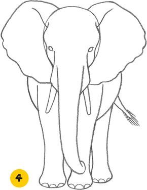traceable elephant traceable in 2018 pinterest elephant