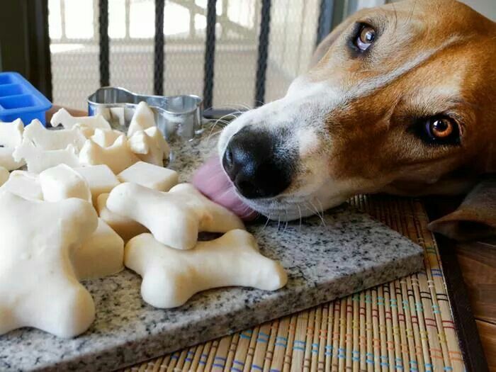 Frosty paws recipe Frosty paws, Frosty paws recipe, Dog Frosty paws recipe Frosty paws, Frosty paws recipe, Dog