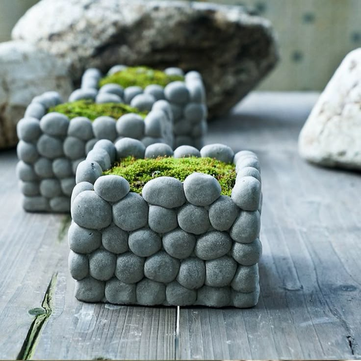 some rocks and moss are sitting on a wooden table next to large rocks with small plants growing out of them