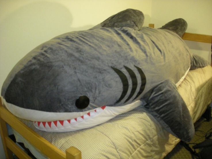 Shark Pillow Sleeping Bag best 25+ big shark ideas on pinterest | big great white shark Shark Pillow Sleeping Bag best 25+ big shark ideas on pinterest | big great white shark