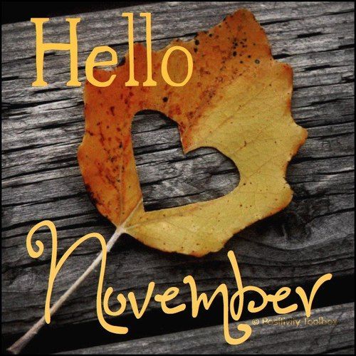 03b942eb82482f176125f460528830e5--happy-november-hello-november.jpg