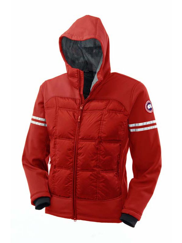 canada goose herrjacka canada goose herrjacka