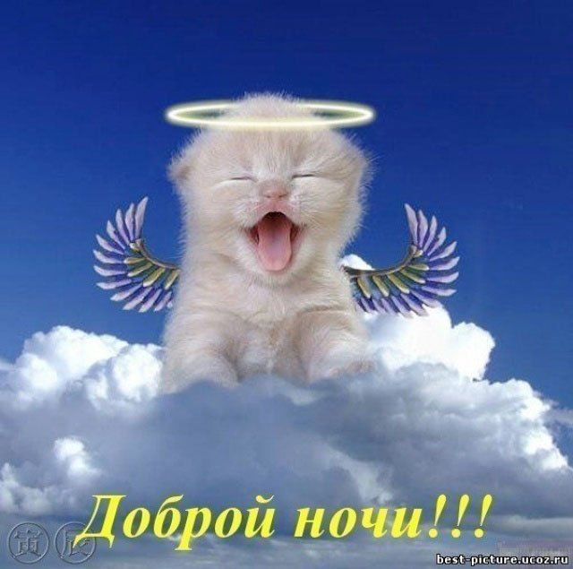 Сделала своей киске очень приятно Сделала своей киске очень приятно