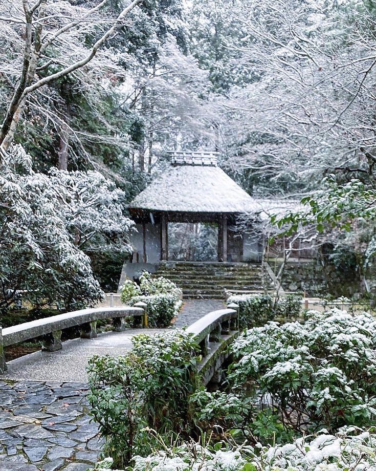 京都カフェ 京都観光 京都ランチ 京都 ちりこ と京都 On Instagram 法然院 雪降る法然院 年末に降った雪 結構真っ白な世界に 京都 Kyoto Kyotogram Kyot 京都 京都観光 京都 カフェ